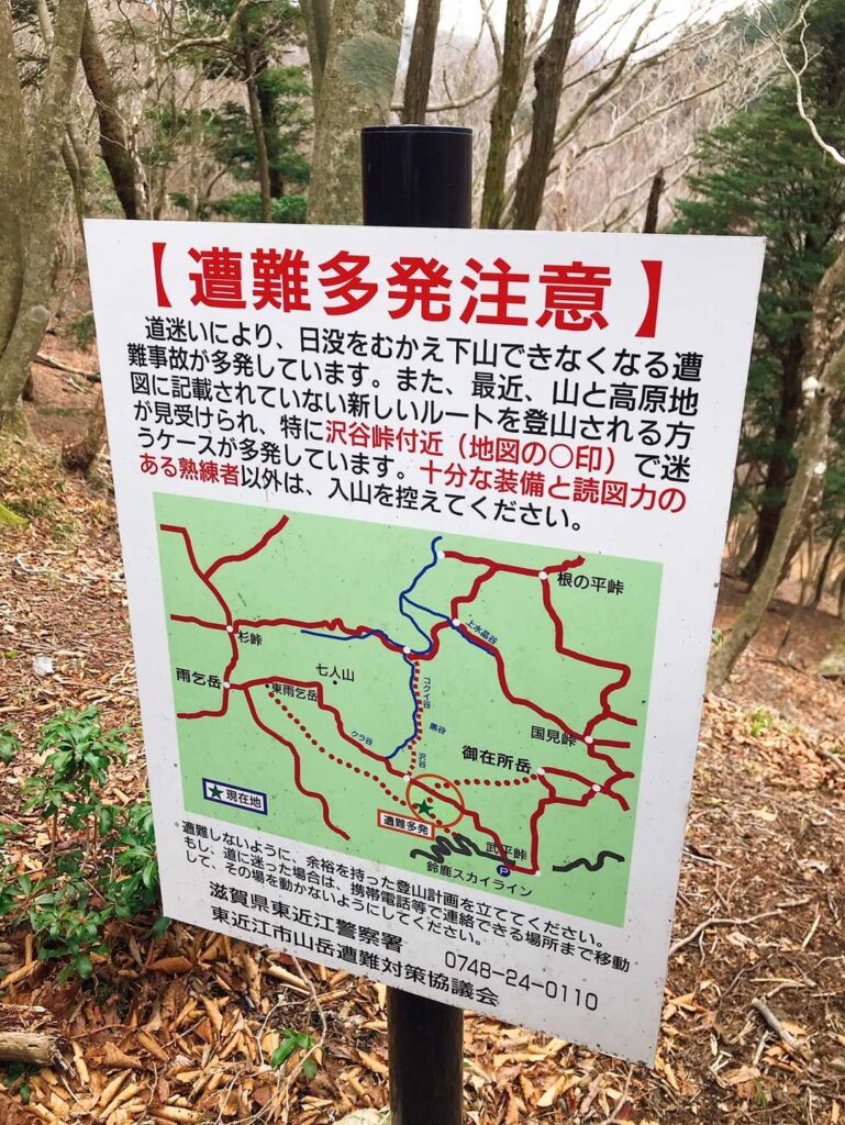 やっぱり噂は本当だった
