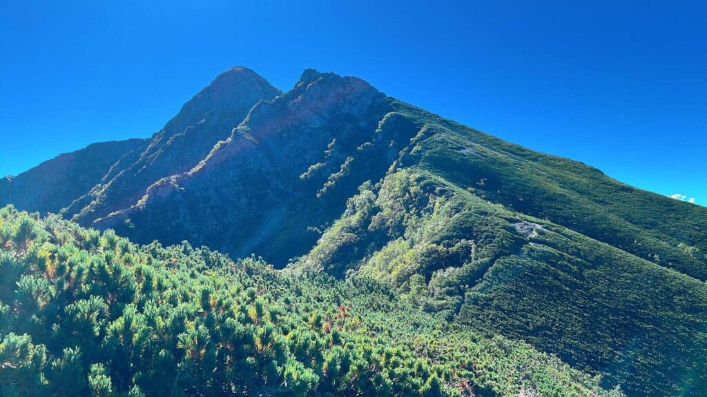 山頂直下の岩場を見上げる