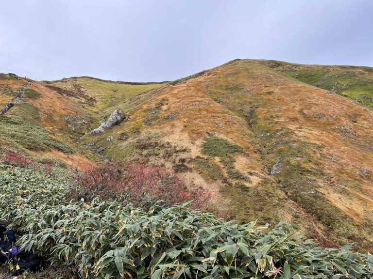 越後駒ヶ岳