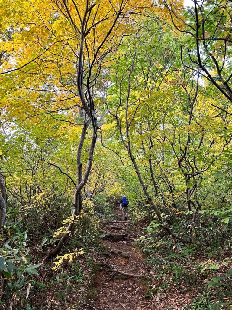 ルート上の水場 1つ目