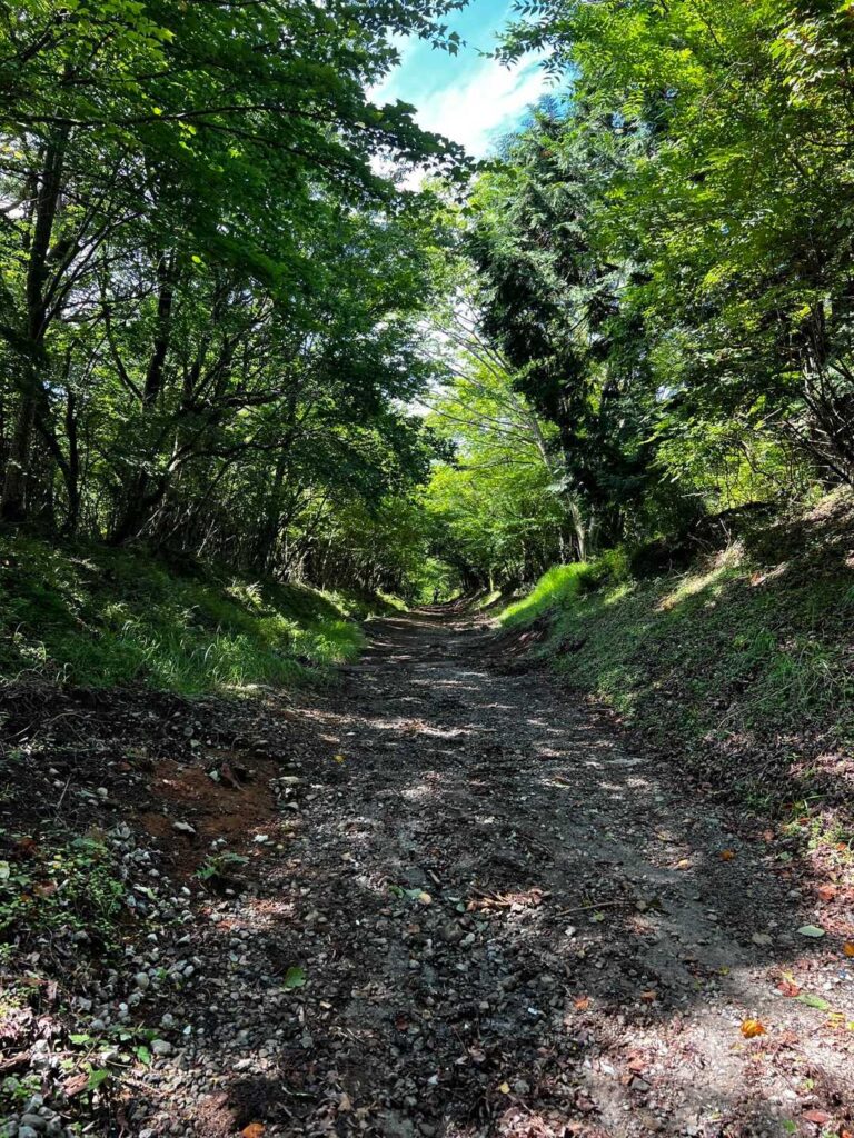 気持ちの良い道をしばらく歩きます
