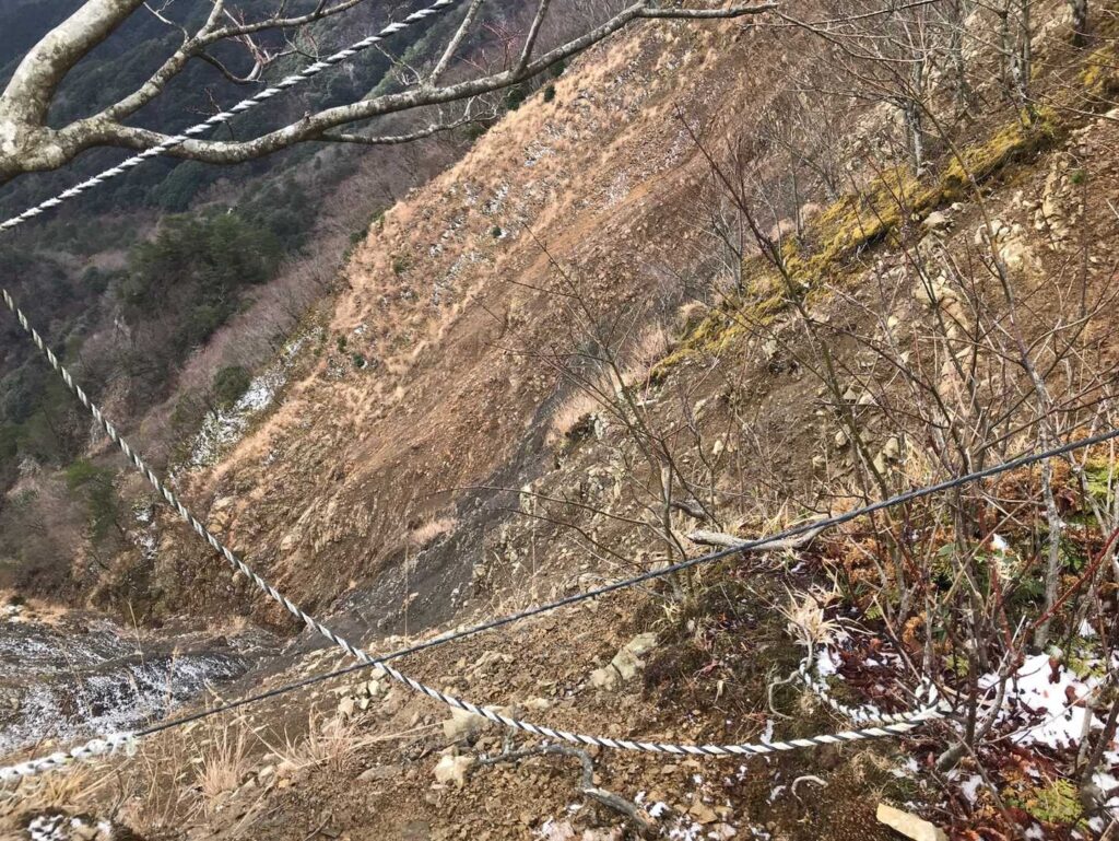 コロコロと音をたてていました😅