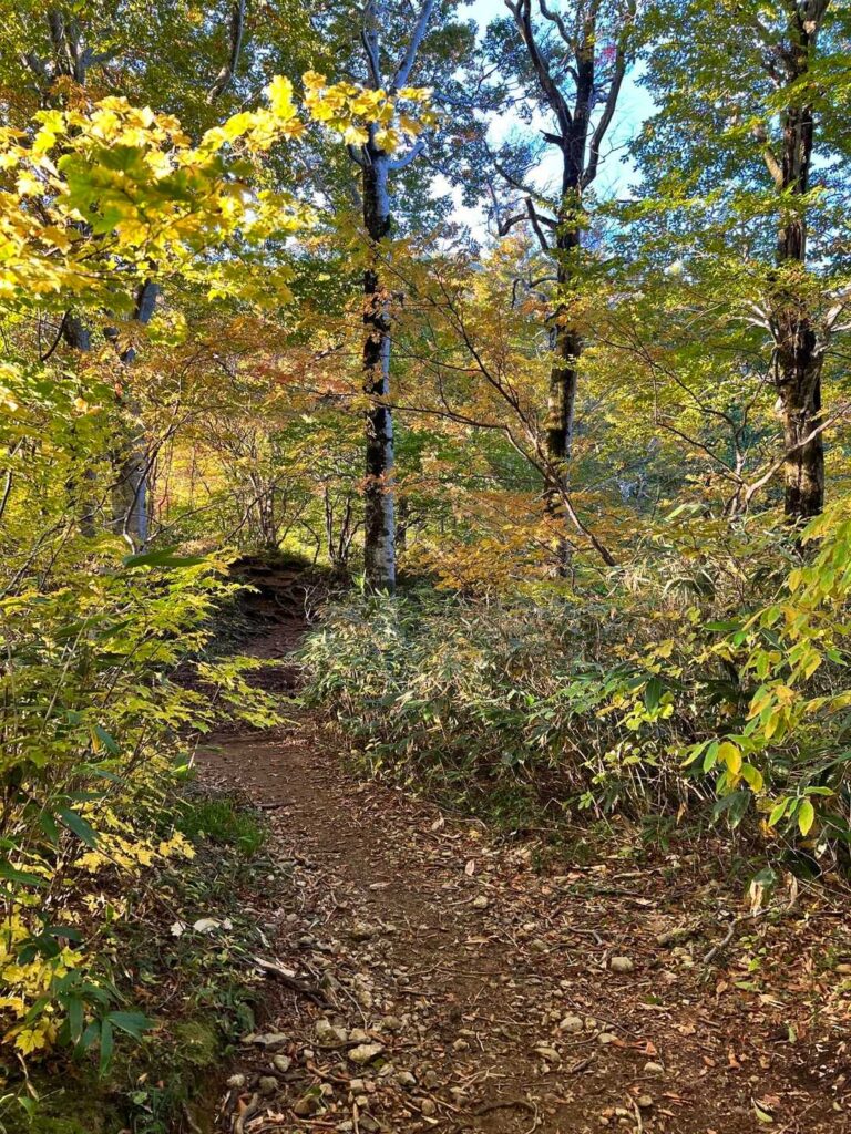 ルート上の水場 2つ目