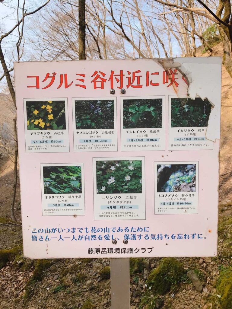 親切にこんなのも☝️