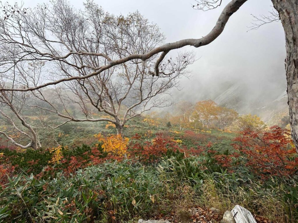 雲の中の幻想的な雰囲気