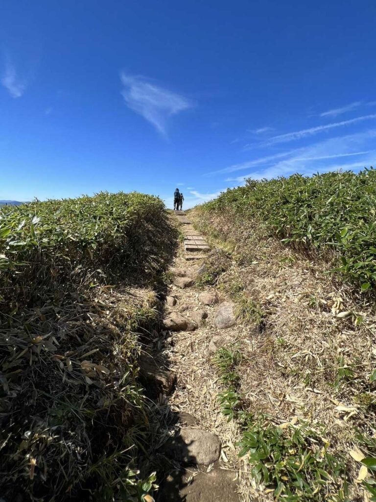 急登を越えた先の景色