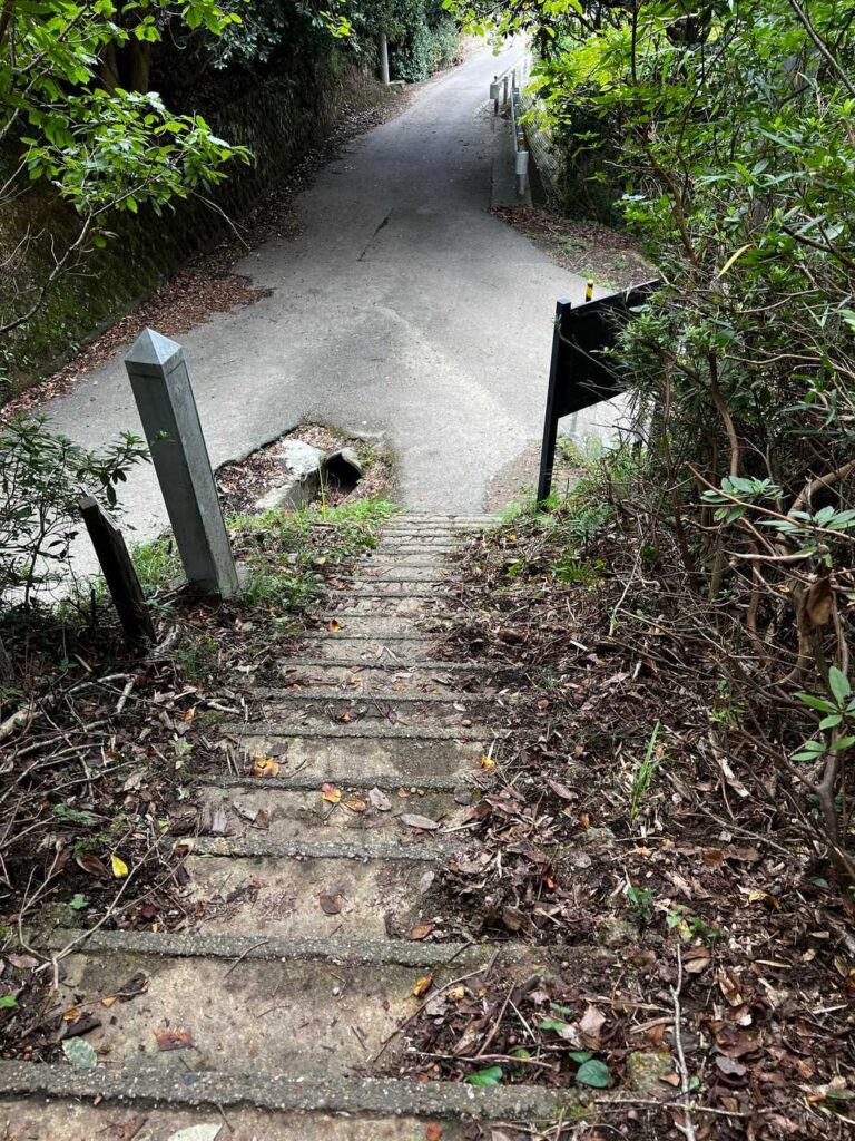 最初の分岐まで階段 / 登りに使わなくてよかった