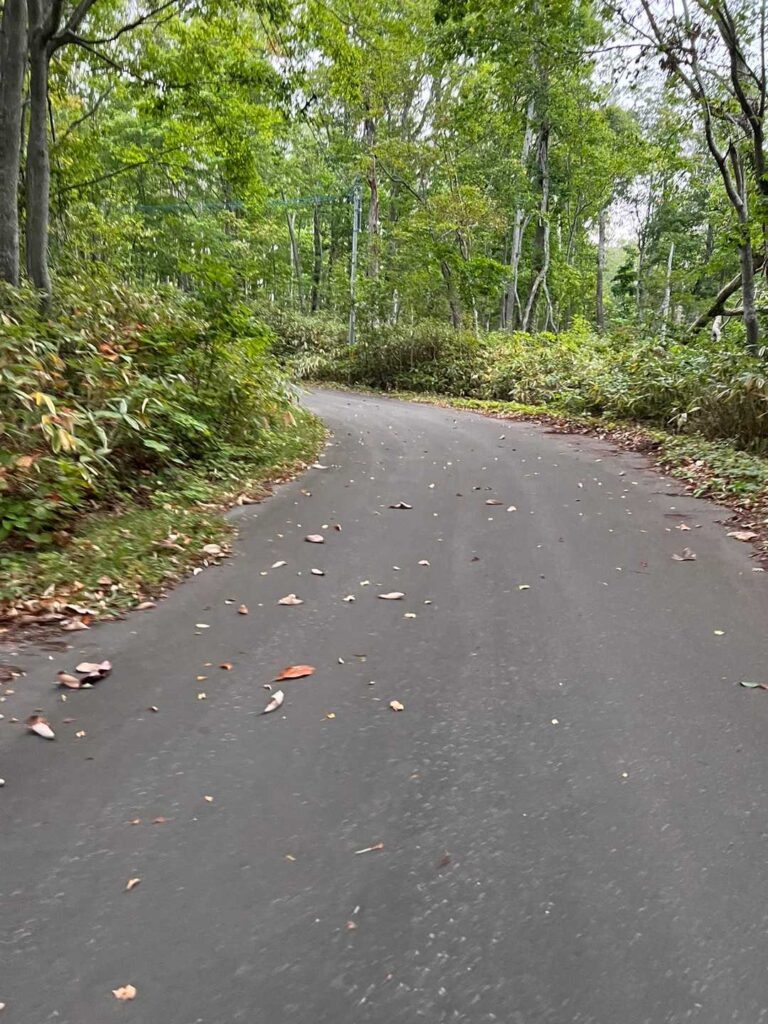 アスファルトの道を歩く