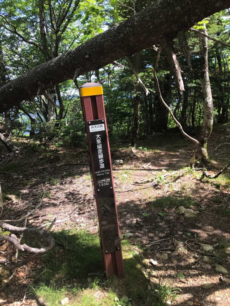 弁天ノ森付近の大峰奥駈道の標柱