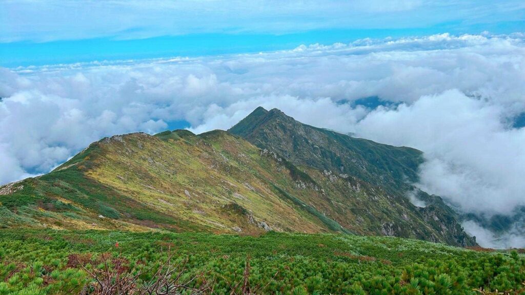 山頂付近の稜線