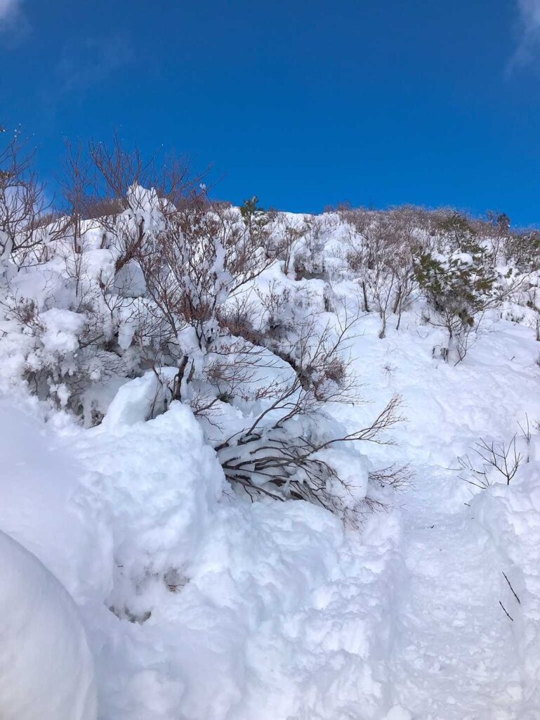 ワサビ峠〜山頂間の景色