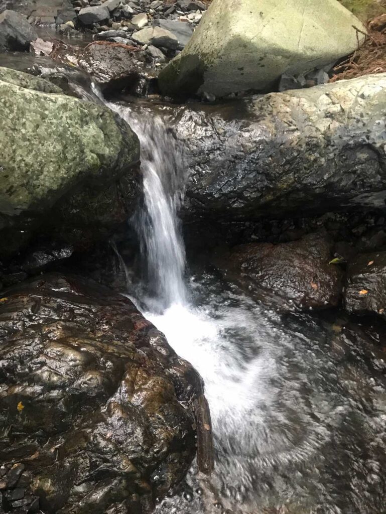 沢を発見