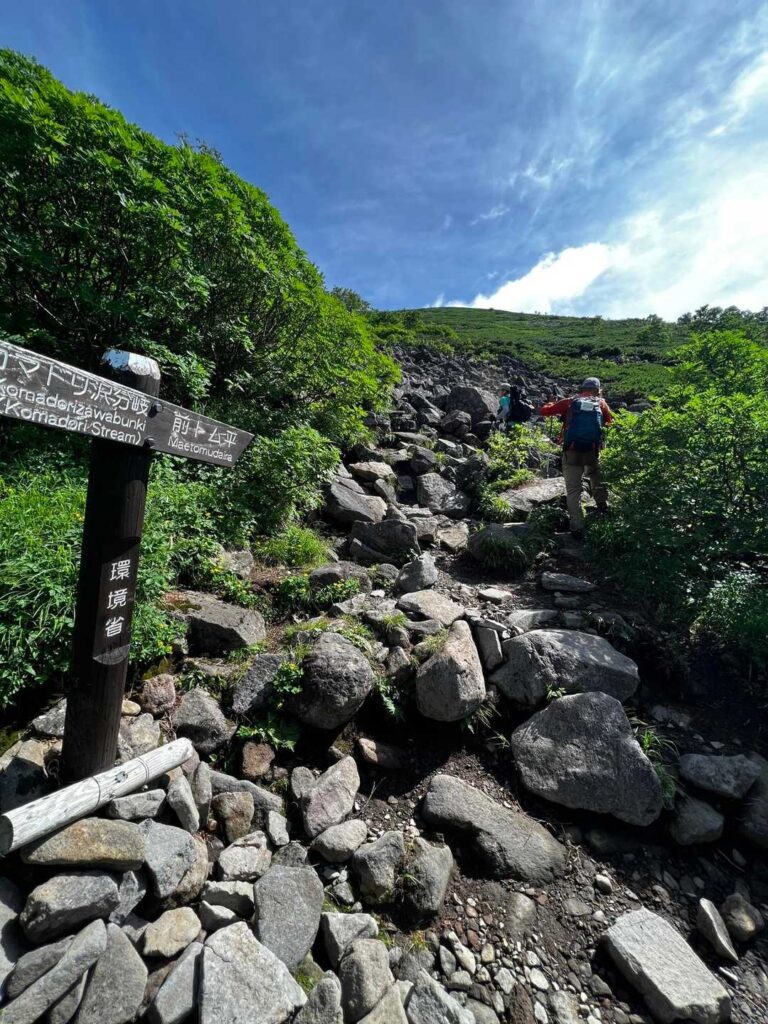 日差しを遮るものがない前トム平