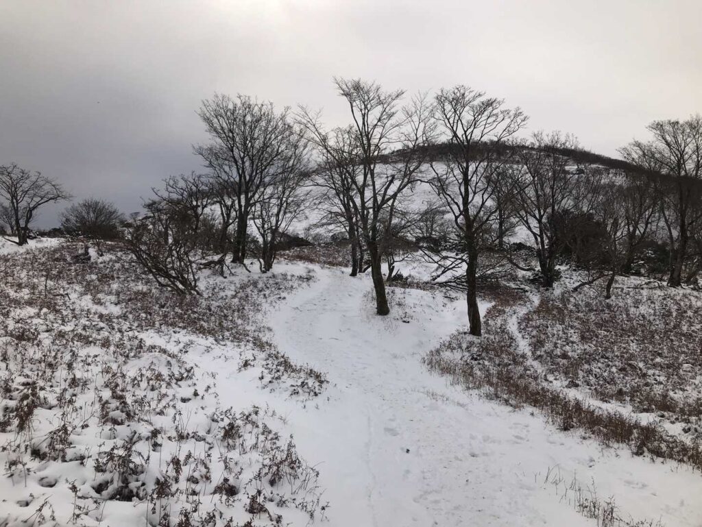 藤原岳を目指します