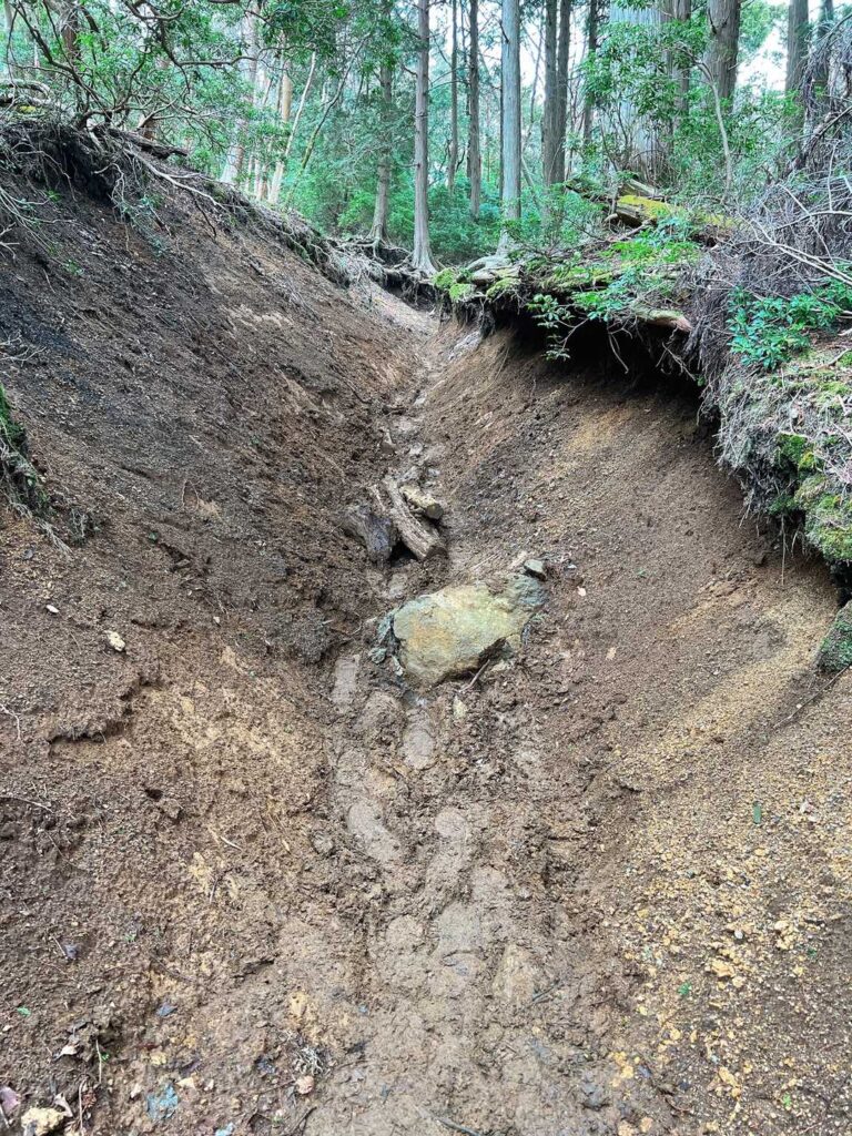 ドロドロの下山道