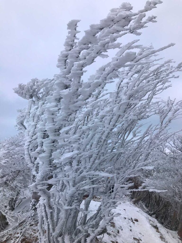 山頂エリアに到着