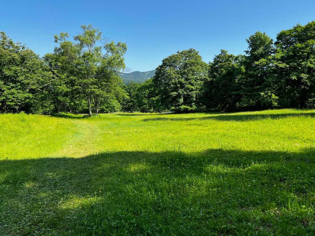 のどかな牧場の風景