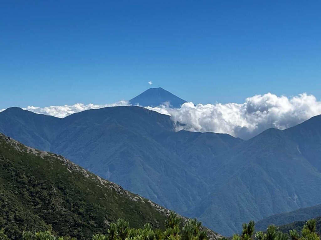 富士山が見えた