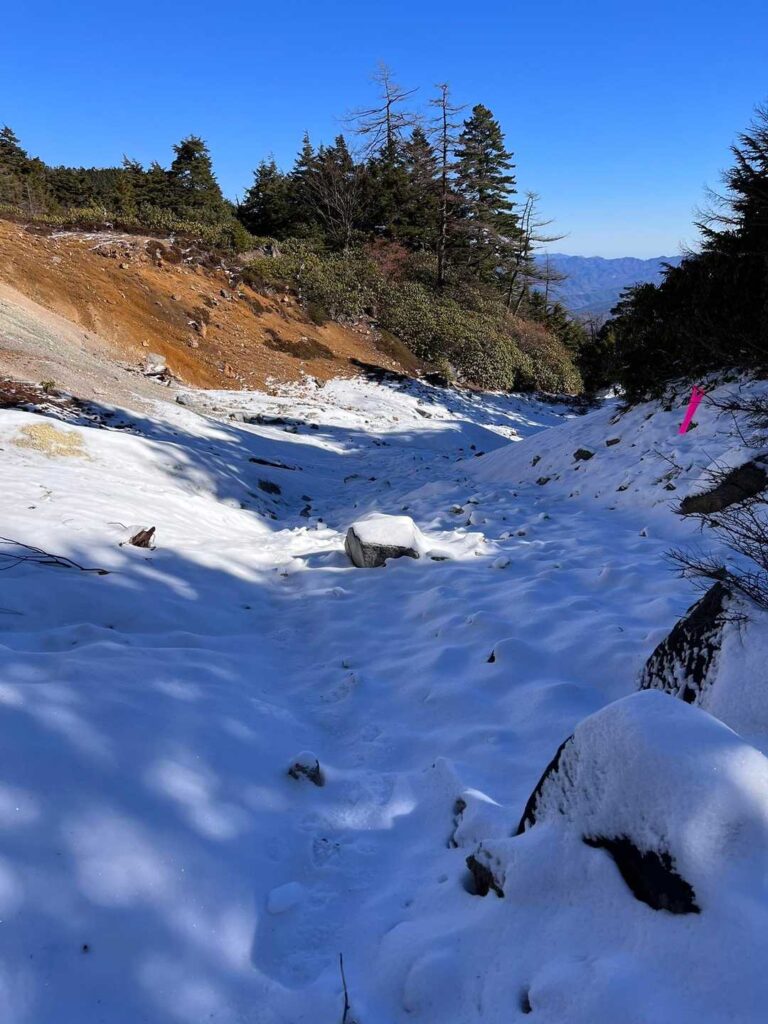 冬が着々と来てますね