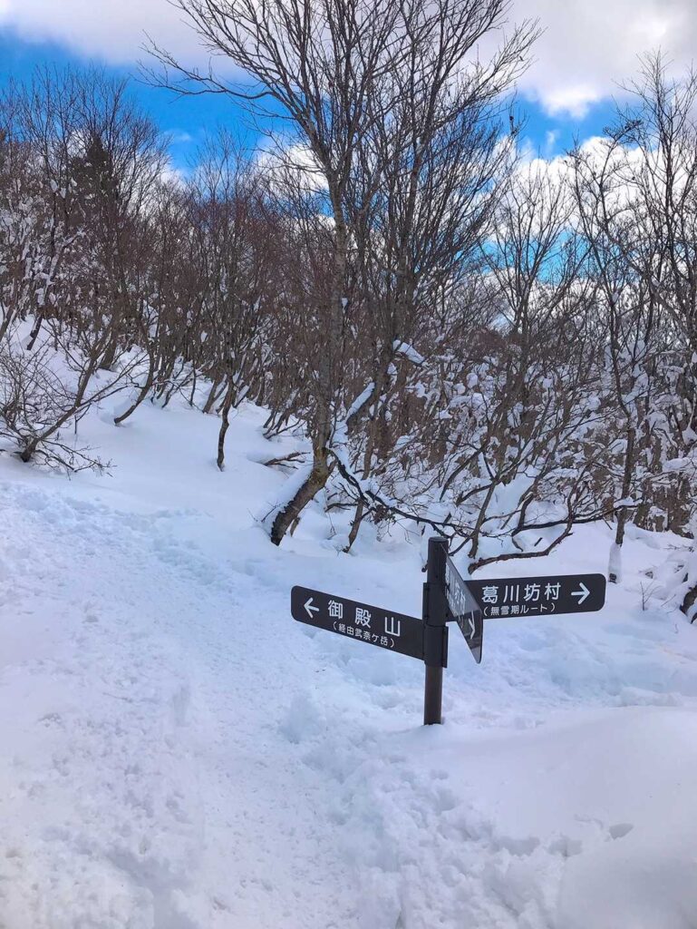 雪がさっきより深くなってきた