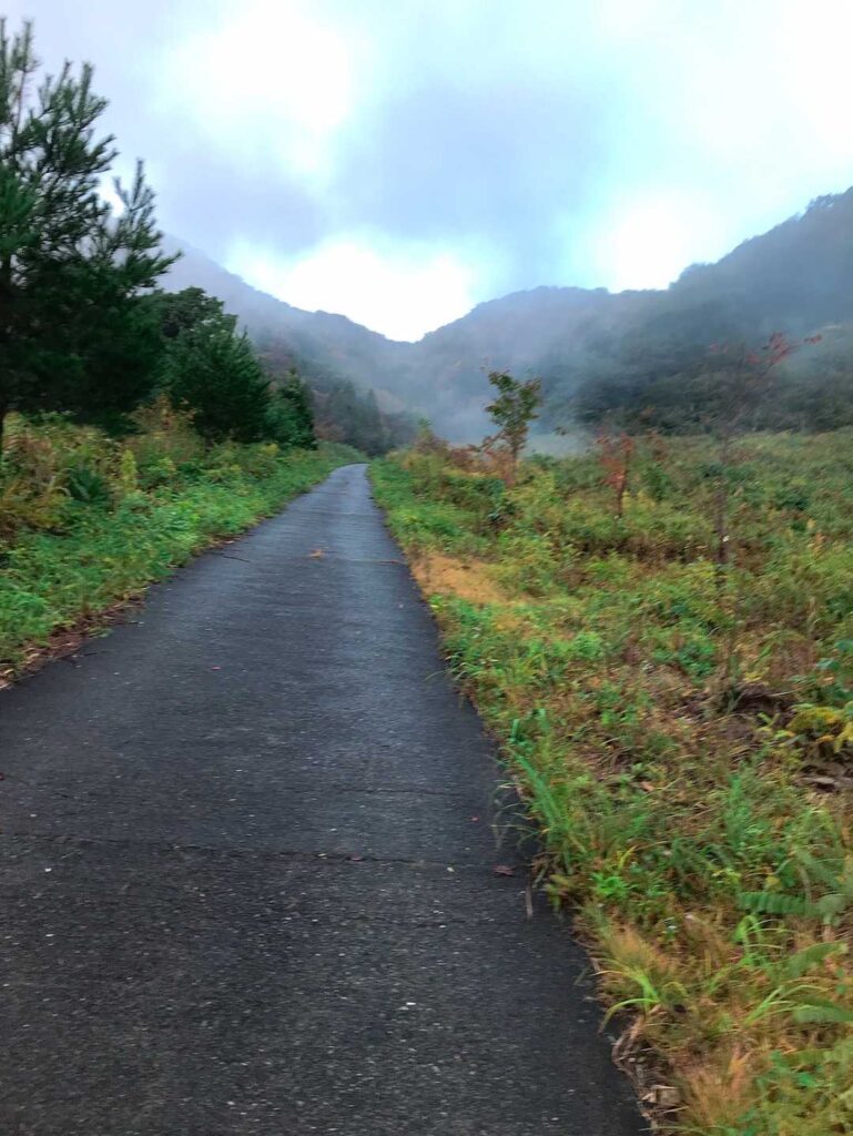 旧スキー場のゲレンデ跡