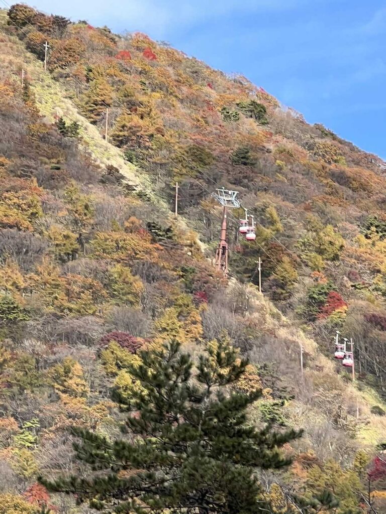 ロープウェイも動いていて