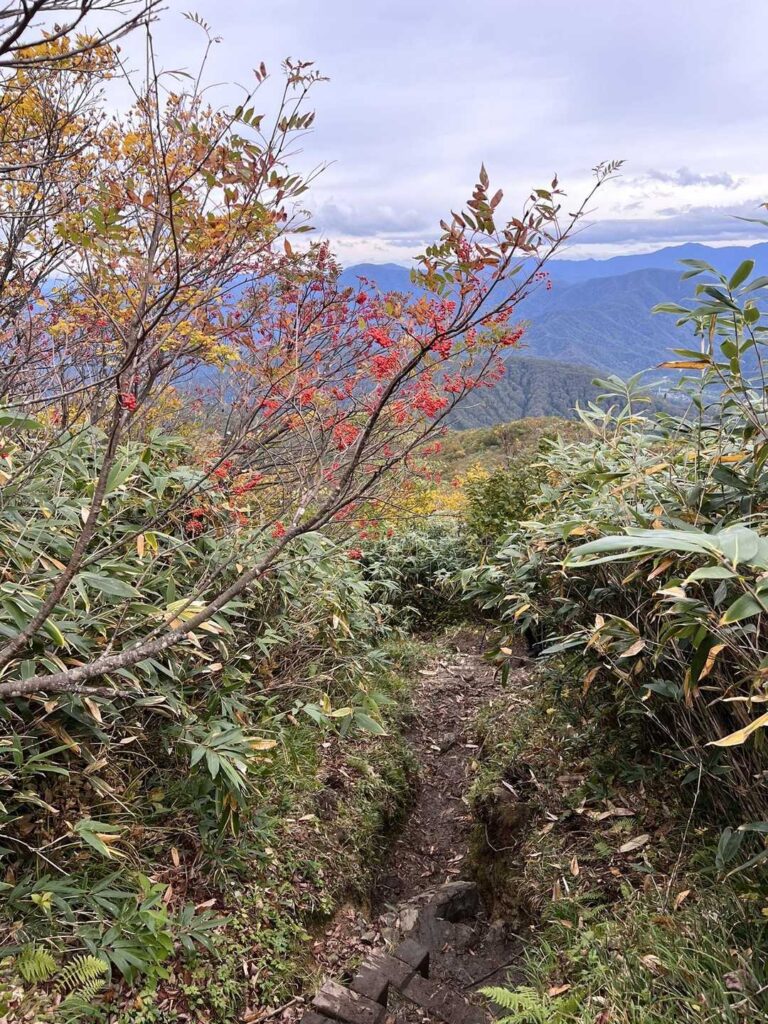 ドロドロの登山道