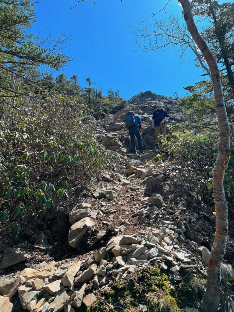 山頂直下の急登