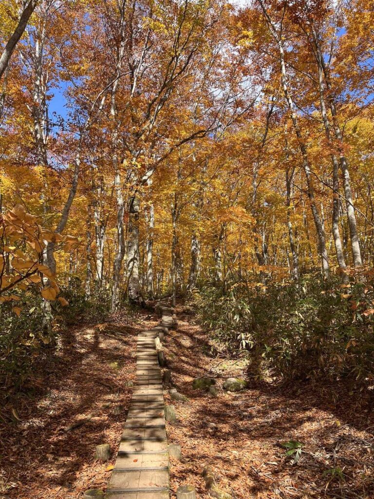 もうすぐゴール