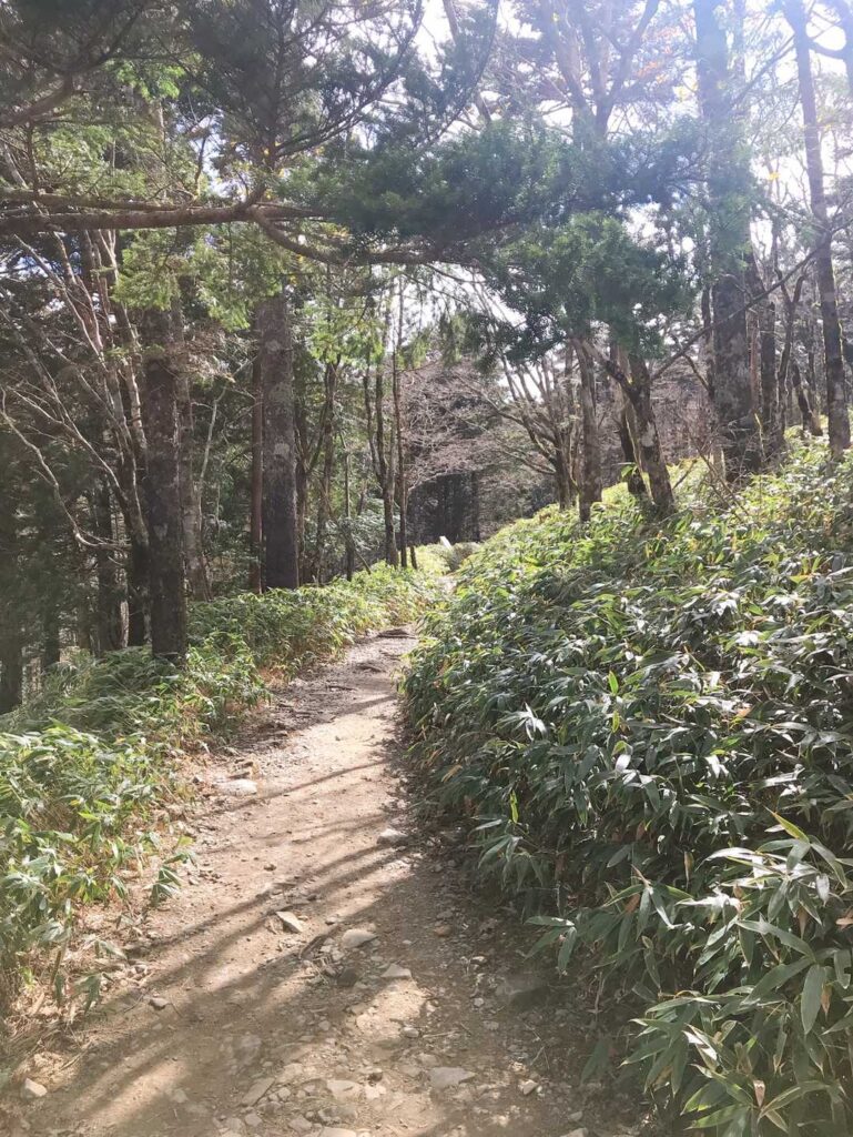 出発時の登山道