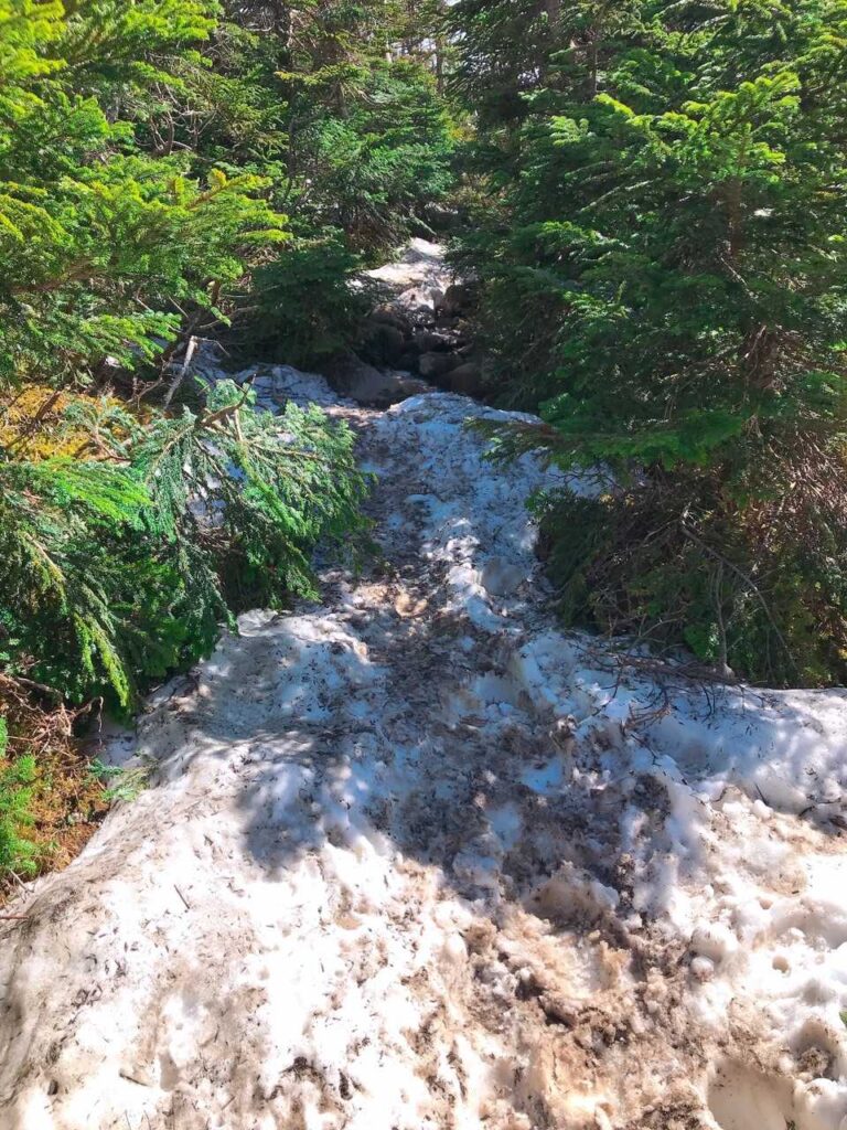 ここからの雪が凍って滑る