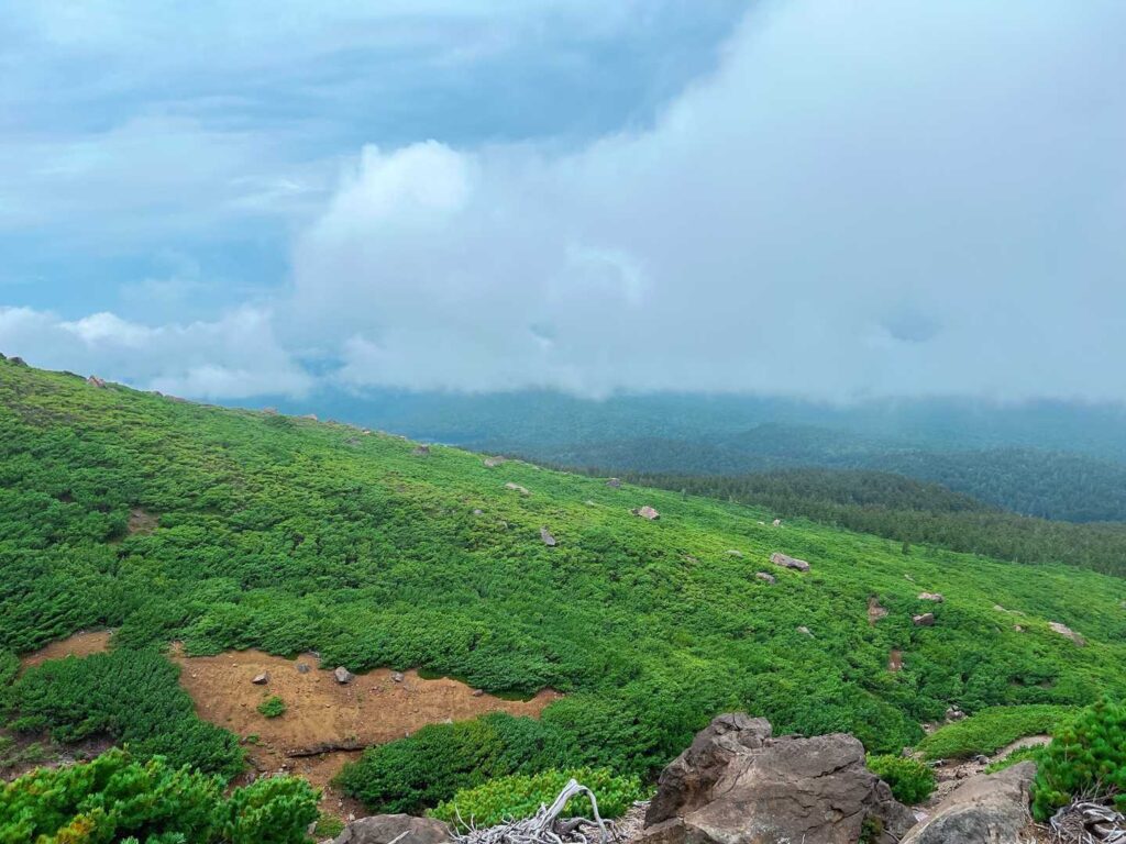 北海道らしい広大な景色