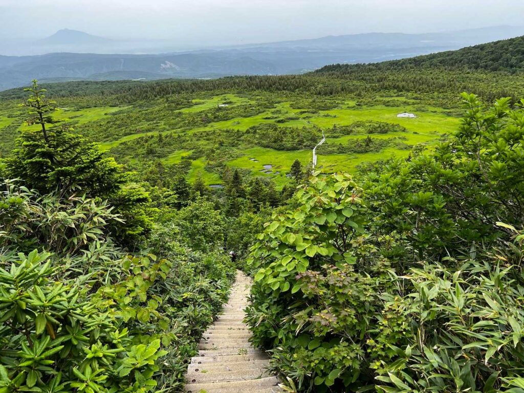 どこまでも続く湿原