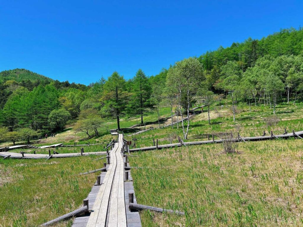 緑が綺麗な季節になりました☺️
