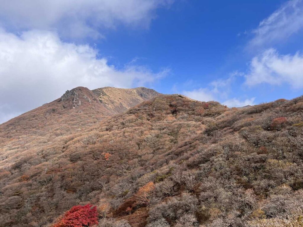 わずかに残る紅葉