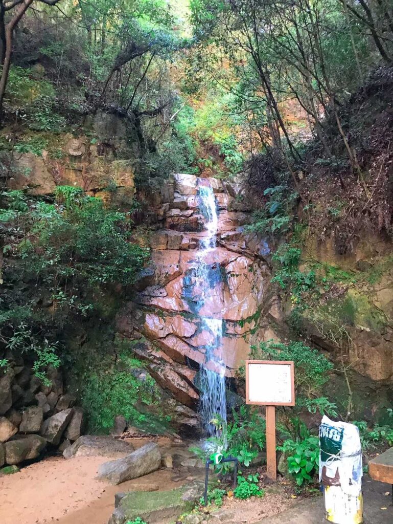 ロックガーデン周辺の様子