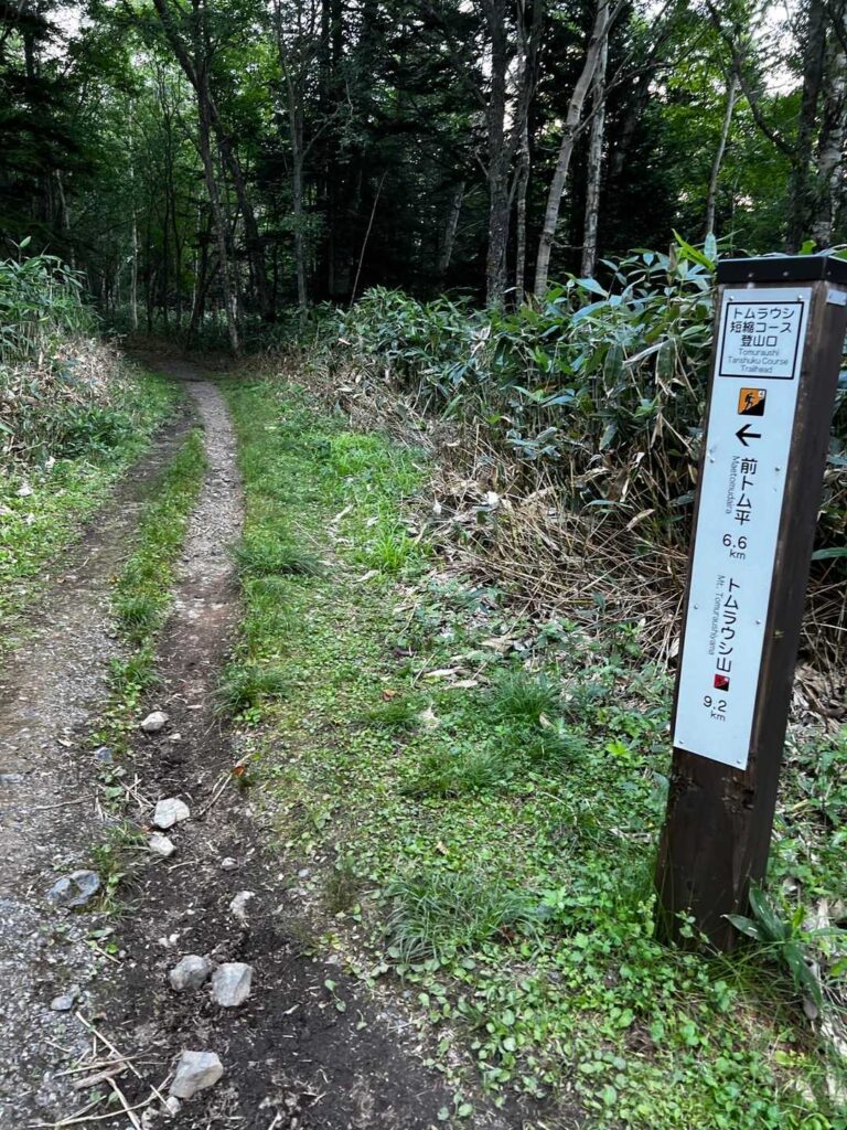 水不足で辛くなった終盤