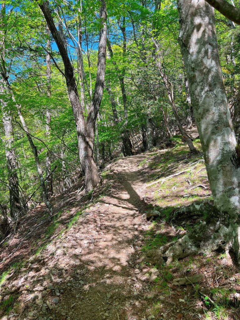 両神神社を抜けた先の平坦な道