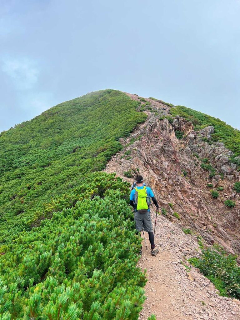 山頂直下の稜線を登る