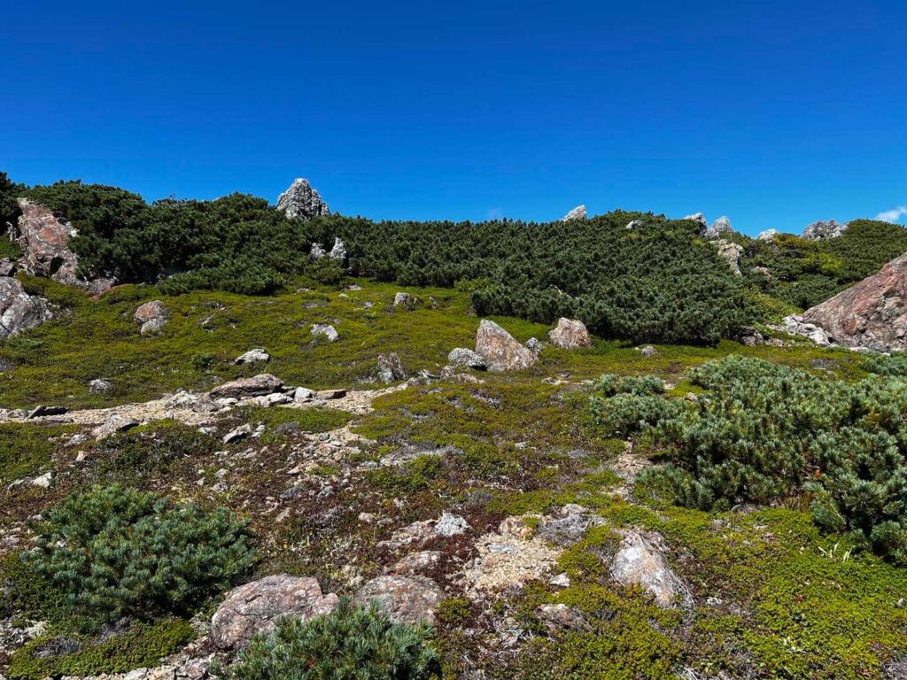 奥聖岳への稜線、庭園のような景色