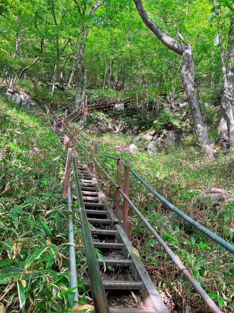 登りだったら心が折れるやつ