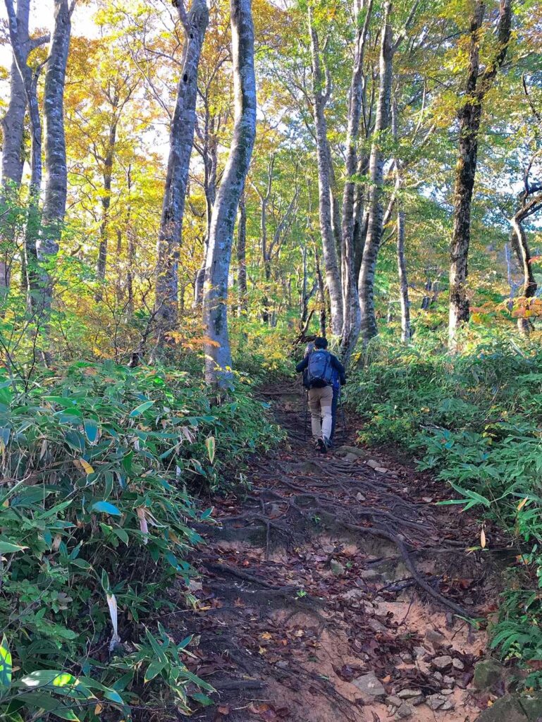 ドロドロの粘土質の登山道