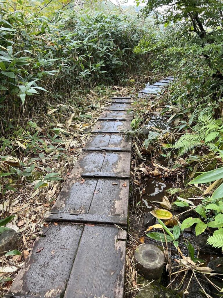 木道も滑りやすい