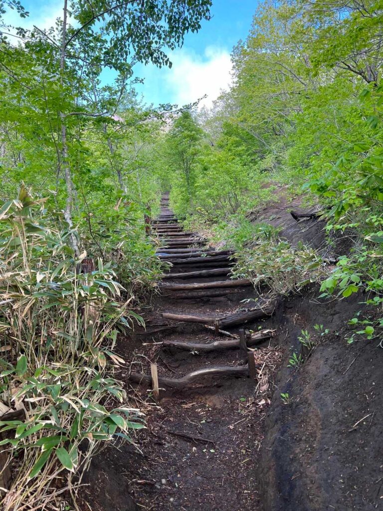 階段の登山道