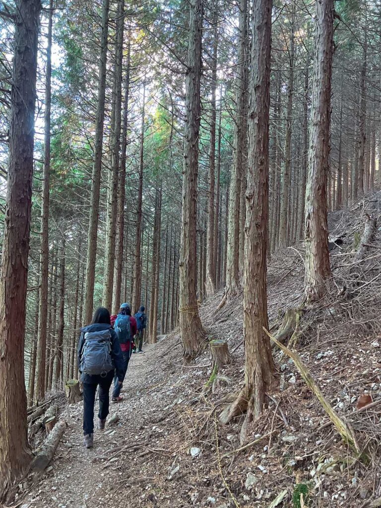帰りは ちと狭い山道を