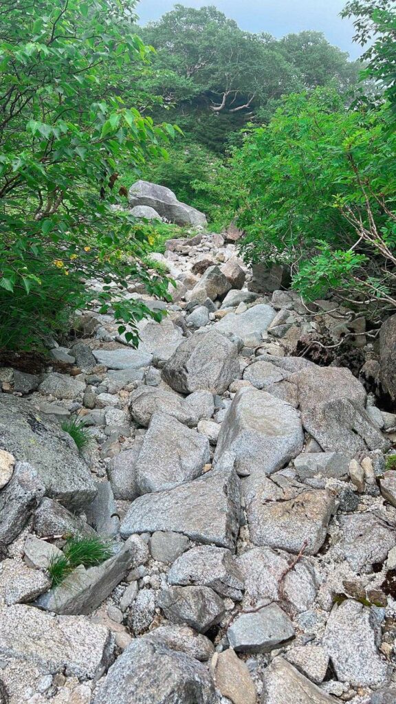 ゴロゴロした岩場の下山路