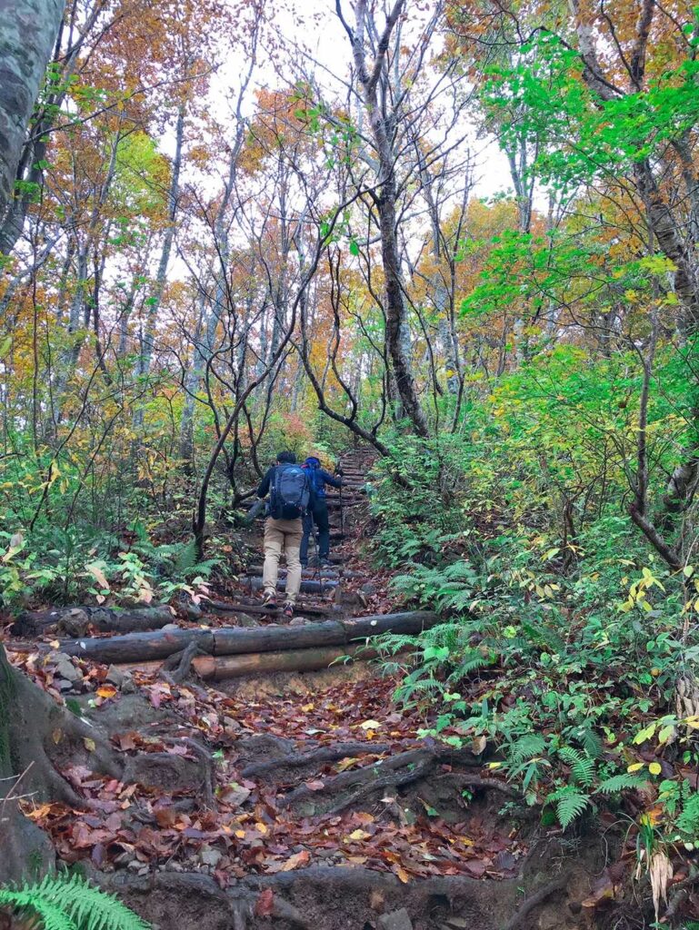終わりのない階段