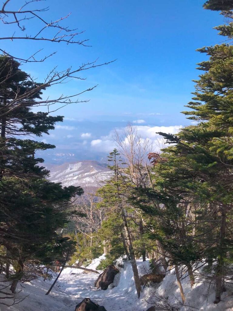 だんだんと景色が開けてくる