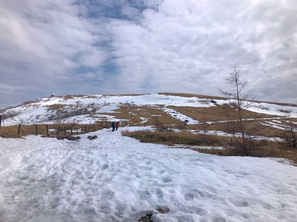 登山道にはまだ残雪がたっぷり