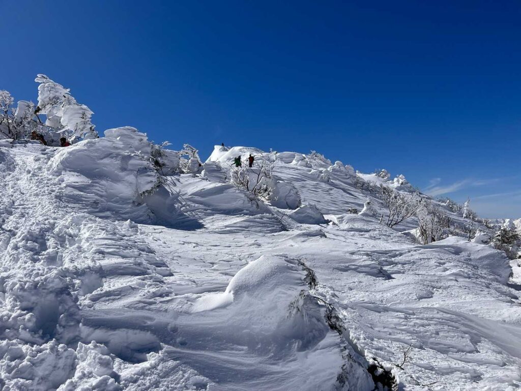 雪を纏った樹氷